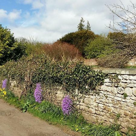 Owl Cottage Hexham Exteriér fotografie