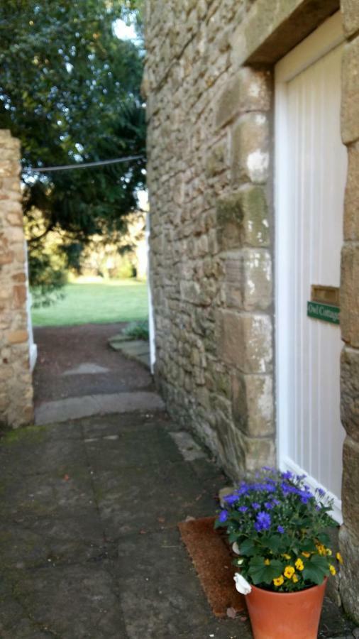 Owl Cottage Hexham Exteriér fotografie