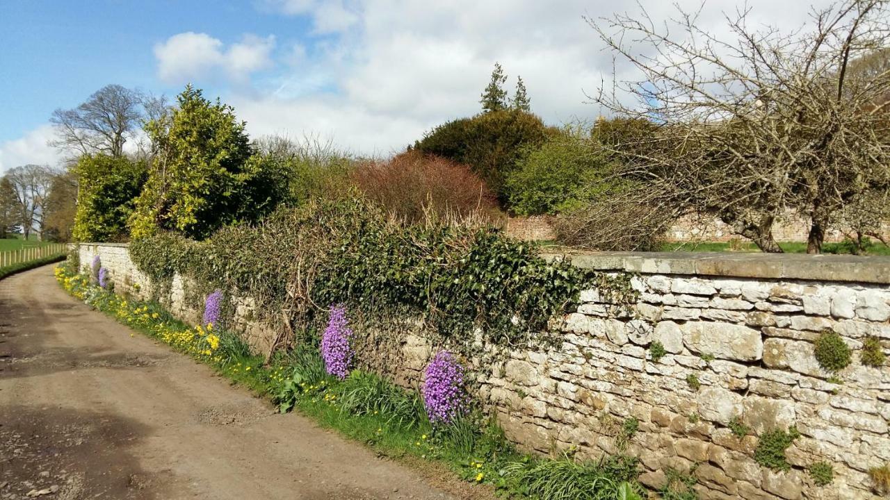 Owl Cottage Hexham Exteriér fotografie
